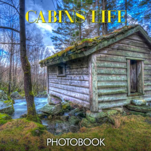 Cabins Life Calendar 2023: Monthly Calendars Woods Forest Camping Trail ...