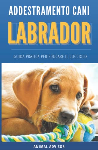 Pet Corrector Supporto All'addestramento Aiuta A Correggere Comportamenti Indesiderati Come Abbaiare, Saltare, Rubare Il Cibo E Rovinare I Mobili. Umano, Sicuro, Efficace (50ml, Confezione Da 2 - 10