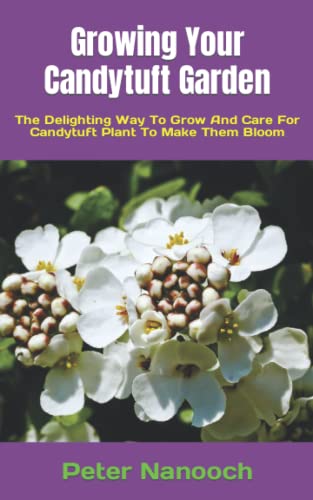Growing Your Candytuft Garden: The Delighting Way To Grow And Care For