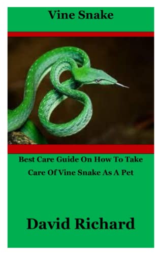 Photo inspiration: Picture Idea: Vine Snake Best Care Guide On How To Take Care