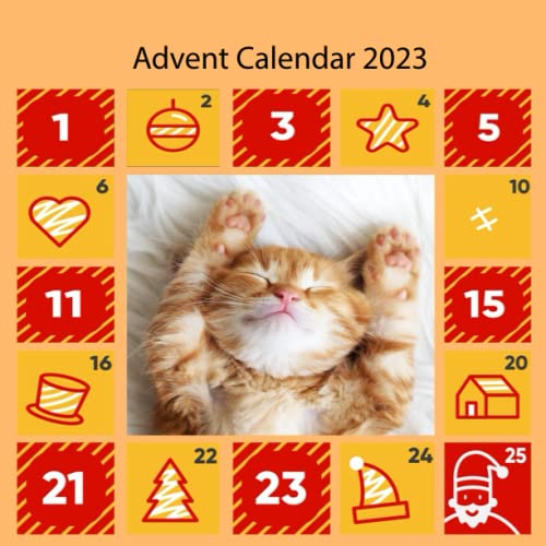 Advent calendar 2023 sleeping cat Advent calendar 2023 Christmas present for kids, adults