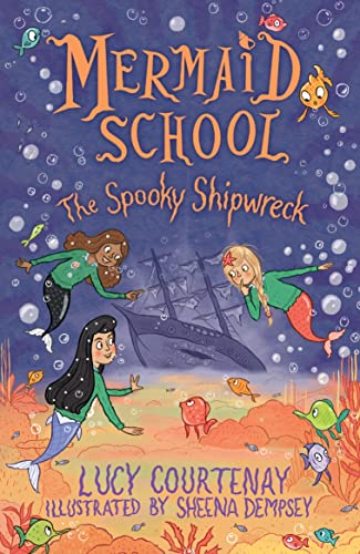 The Spooky Shipwreck book cover