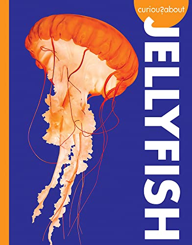 Curious About Jellyfish book cover