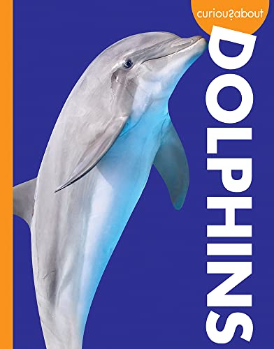 Curious About Dolphins book cover