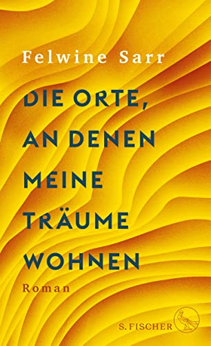 Die Orte, an denen meine Träume wohnen book cover