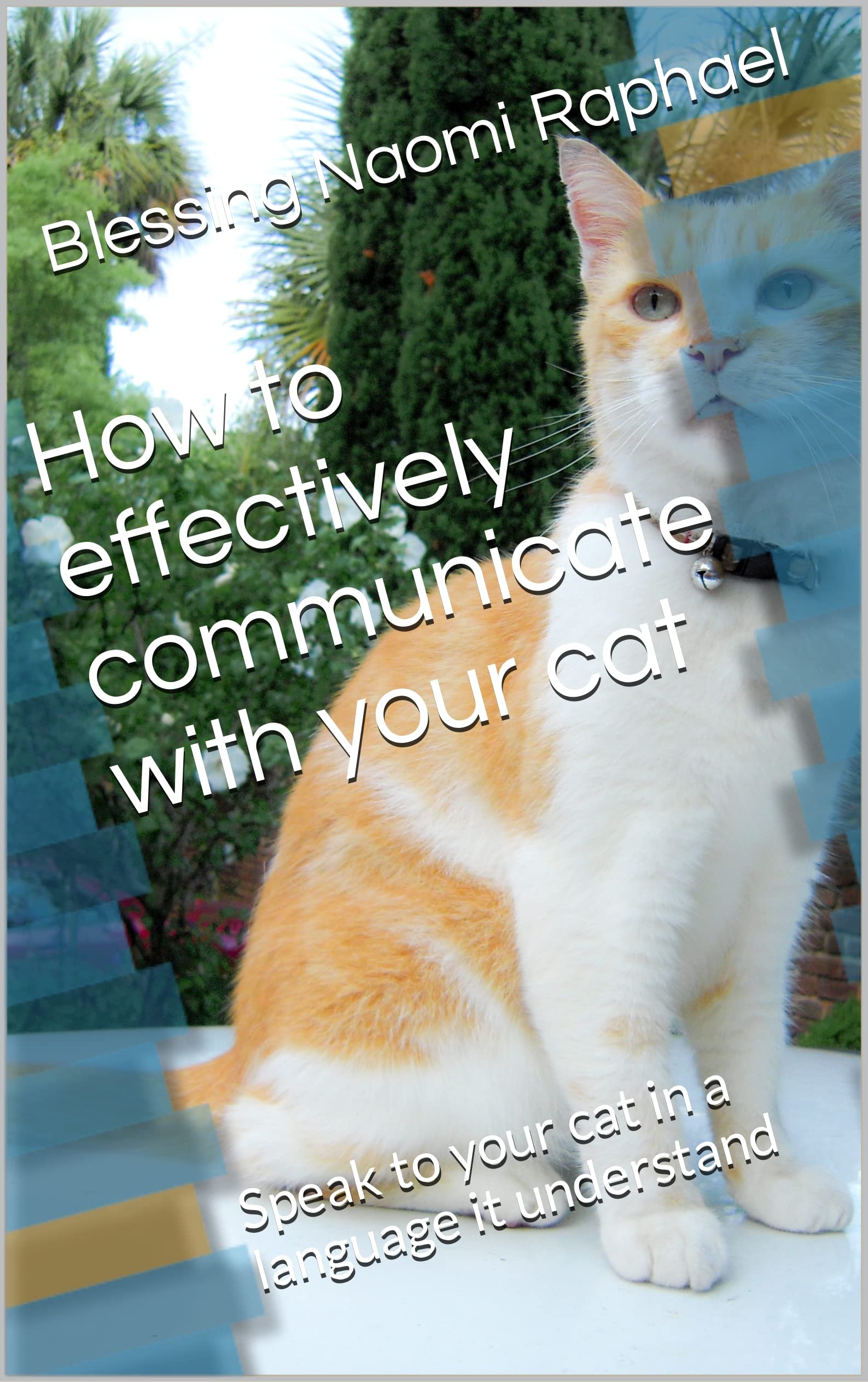 How to effectively communicate with your cat Speak to your cat in a