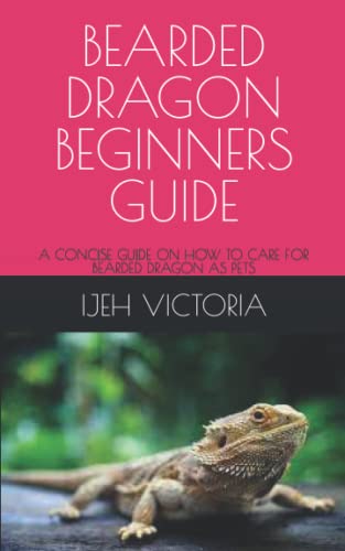 Full Size Bearded Dragon The Ultimate Guide - gxetg09