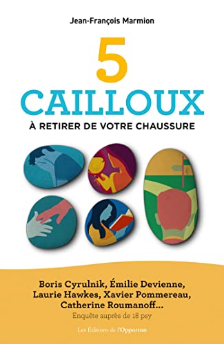 5 cailloux à retirer de votre chaussure book cover