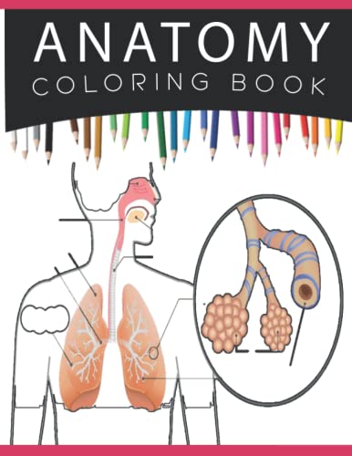 Anatomy Coloring Book: A Human Anatomy And Physiology Workbook ...