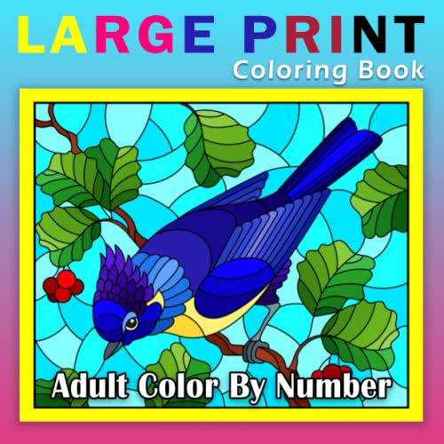 Large Print Adult Color By Number Coloring Book Easy Large Print Color