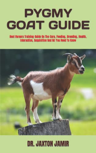 Extend Your Pygmy Goat S Life Expert Tips Advice - ti0jgps