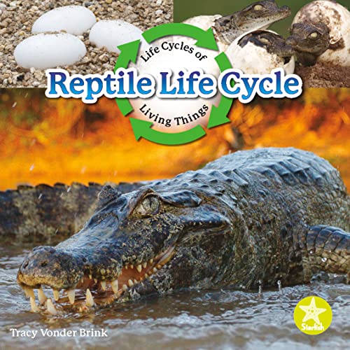 Reptile Life Cycle by Tracy Vonder Brink Goodreads