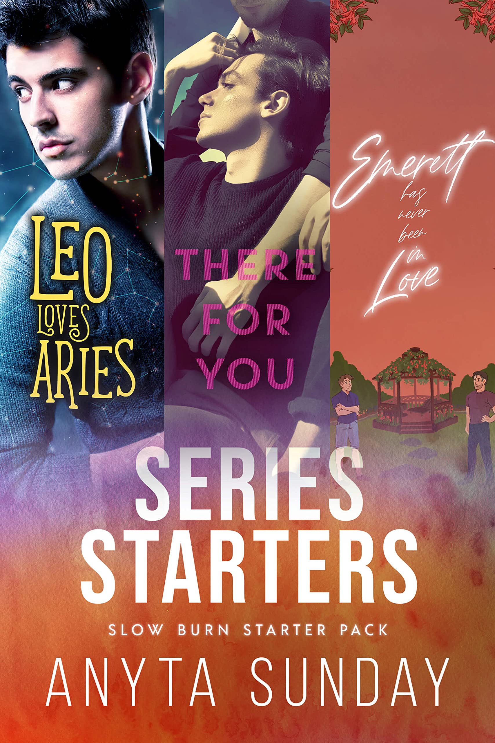 Slow Burn Starter Pack book cover