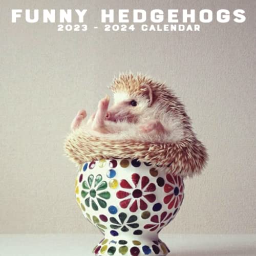 An Amazing Picture Of Funny Hedgehogs 2023 2024 Funny Hedgehogs Calendar Monthly Planner