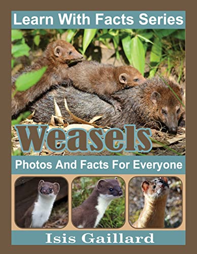 Weasels: Photos and Facts for Everyone by Isis Gaillard | Goodreads