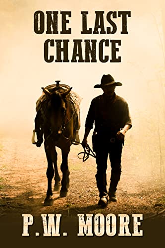 One Last Chance: Chance Wilmer - Book 5