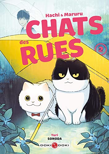 Hachi & Maruru - Chats des rues