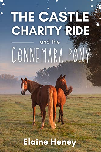 The Castle Charity Ride and the Connemara Pony - The Coral Cove Horses Series