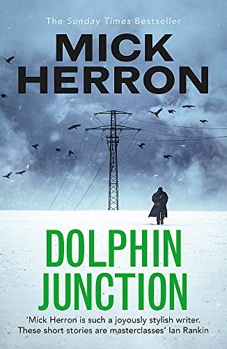 Dolphin Junction book cover