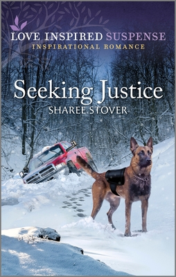 Seeking Justice book cover