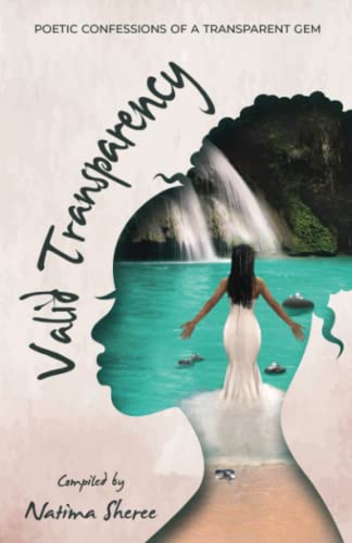 Valid Transparency book cover