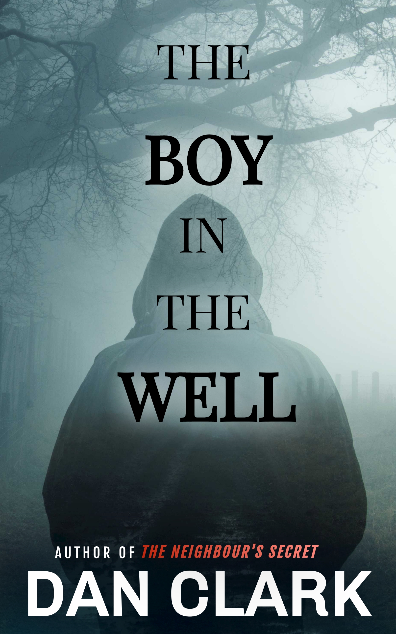 The Boy in the Well