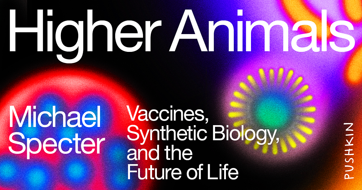 Higher Animals
