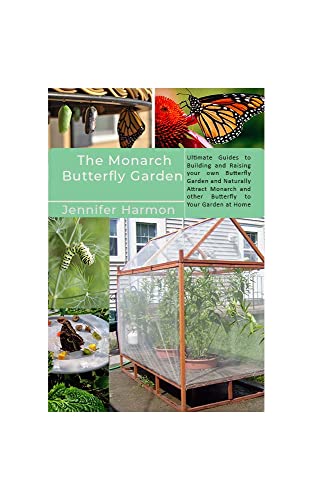 Buterfly Layout Monarch Butterfly Garden Layout – TGTOEC