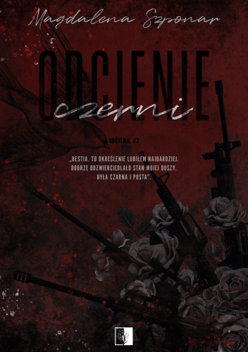 Odcienie book cover 2