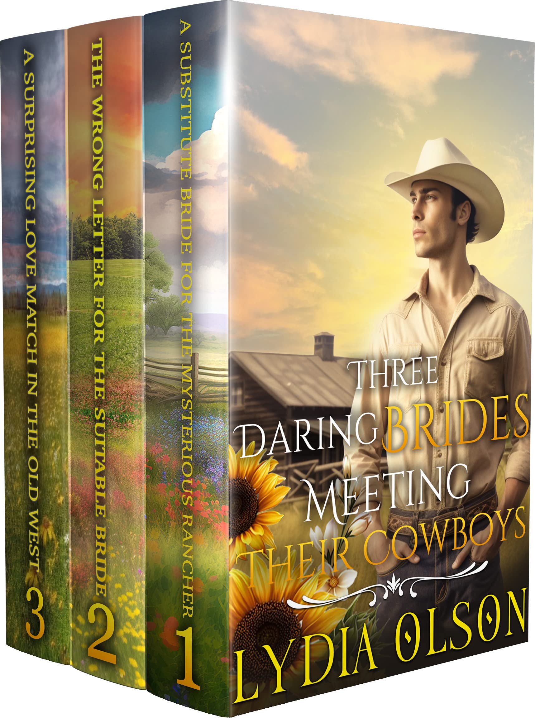 Three Daring Brides Meeting Their Cowboys Collection