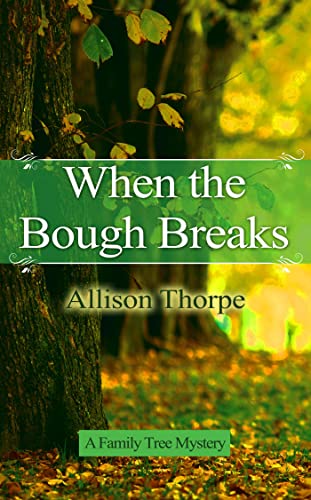 When the Bough Breaks book cover