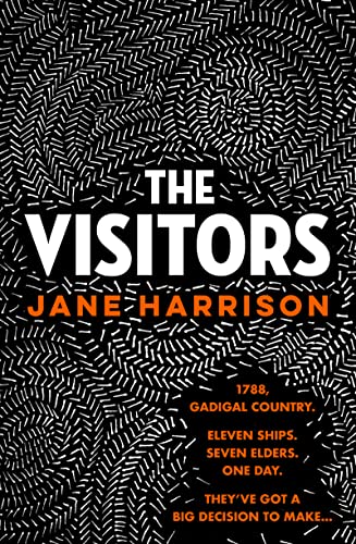 The Visitors: The remarkable debut novel from an award-winning author and playwright, for readers of Melissa Lucashenko, Shankari Chandran and Tara June Winch