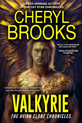 Valkyrie book cover