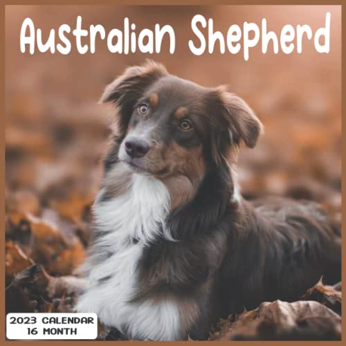 Australian Shepherd 2023 Calendar 16 Month Official 16 Month