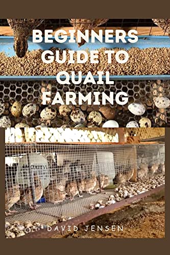 BEGINNERS GUIDE TO QUAIL FARMING: Starting and running a successful