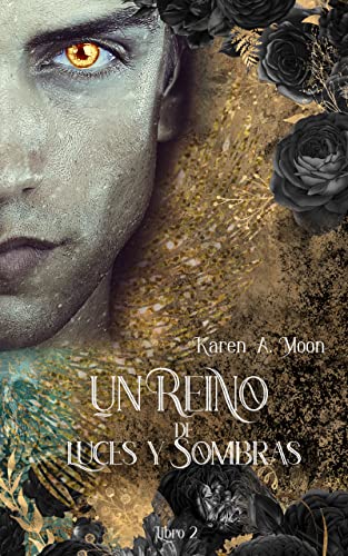 Un Reino de Luces y Sombras (Libro 2): Fantasia Romantica (Un Reino de Mundos)