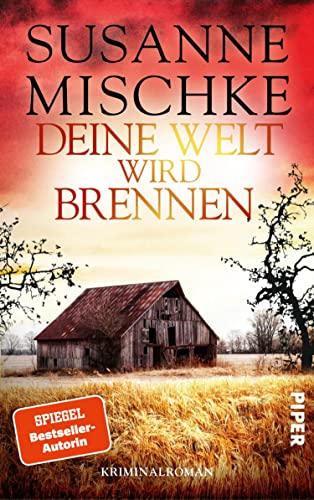 Deine Welt wird brennen book cover
