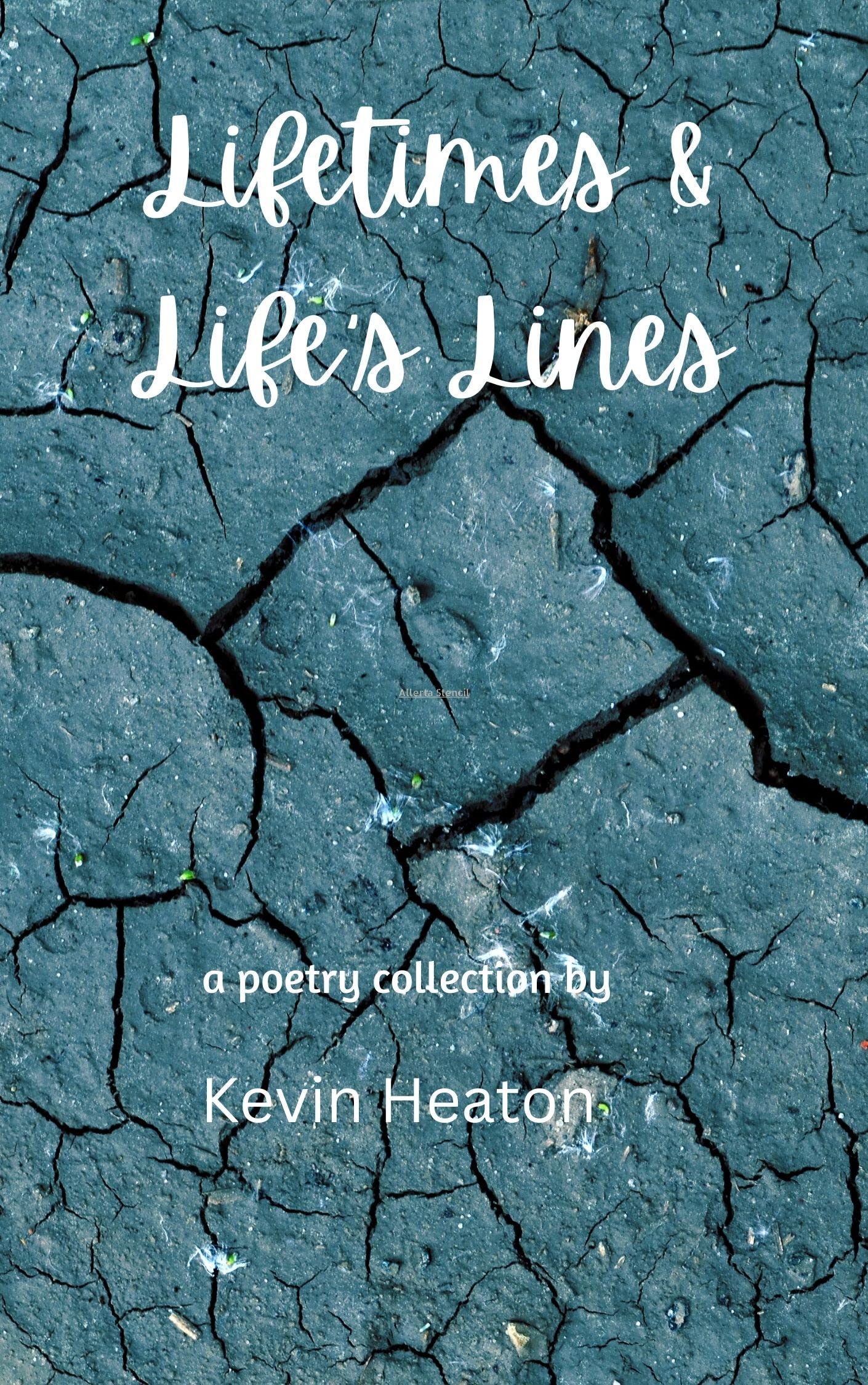 Lifetimes & Life's Lines book cover