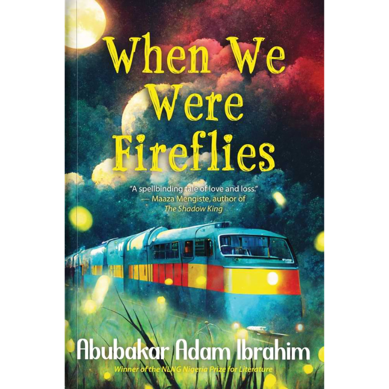 When We Were Fireflies book cover
