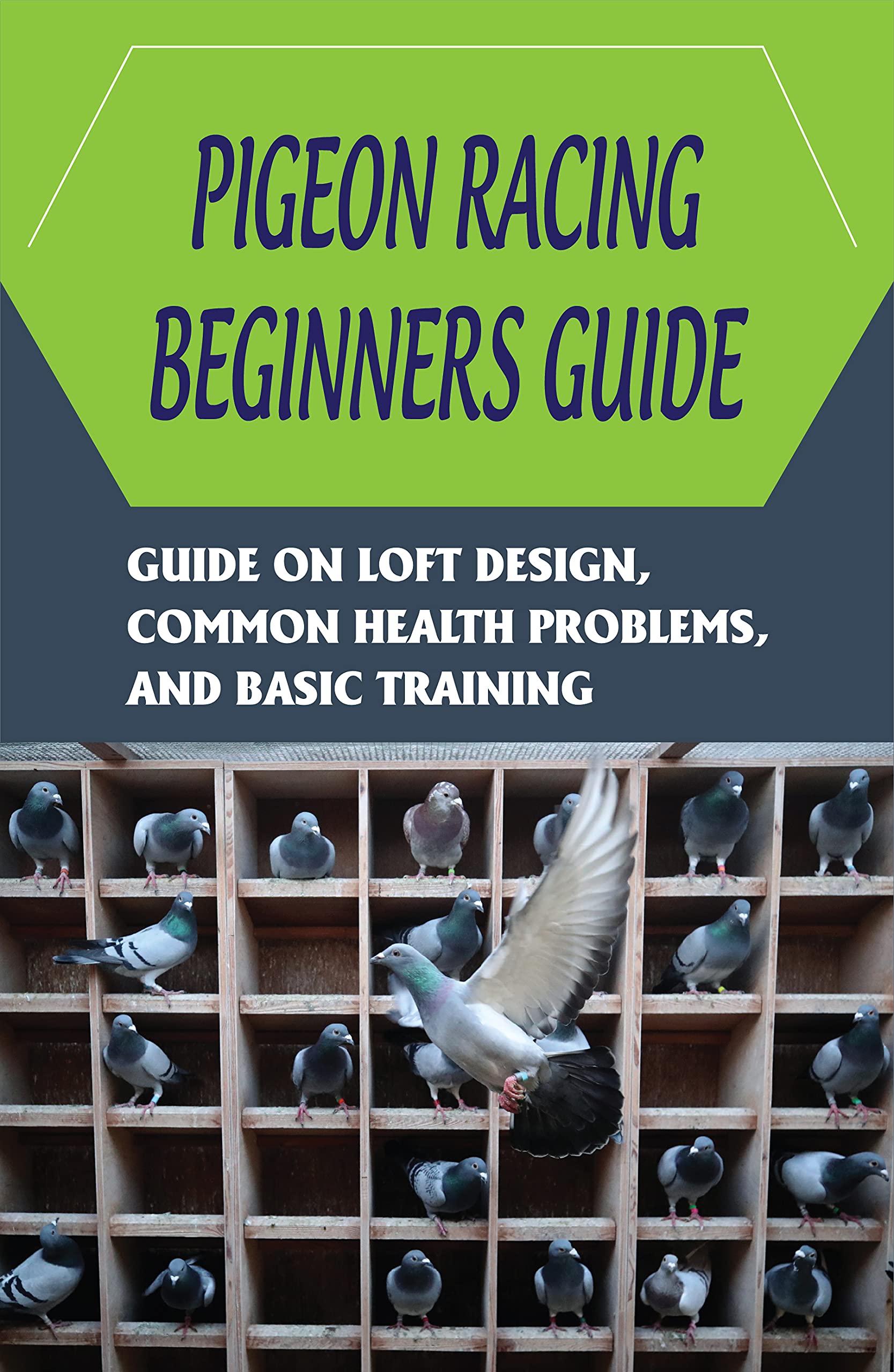 Pigeon Racing Beginners Guide Guide On Loft Design, Common Health