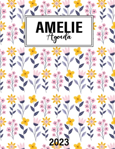 Agenda 2025-2026, Planificateur Mensuel, Agenda Professionnel, Organiseur Académique Compact 24 Mois, Système De Gestion Du Temps Pour Les étudiants, Les Enseignants Et Les Professionnels