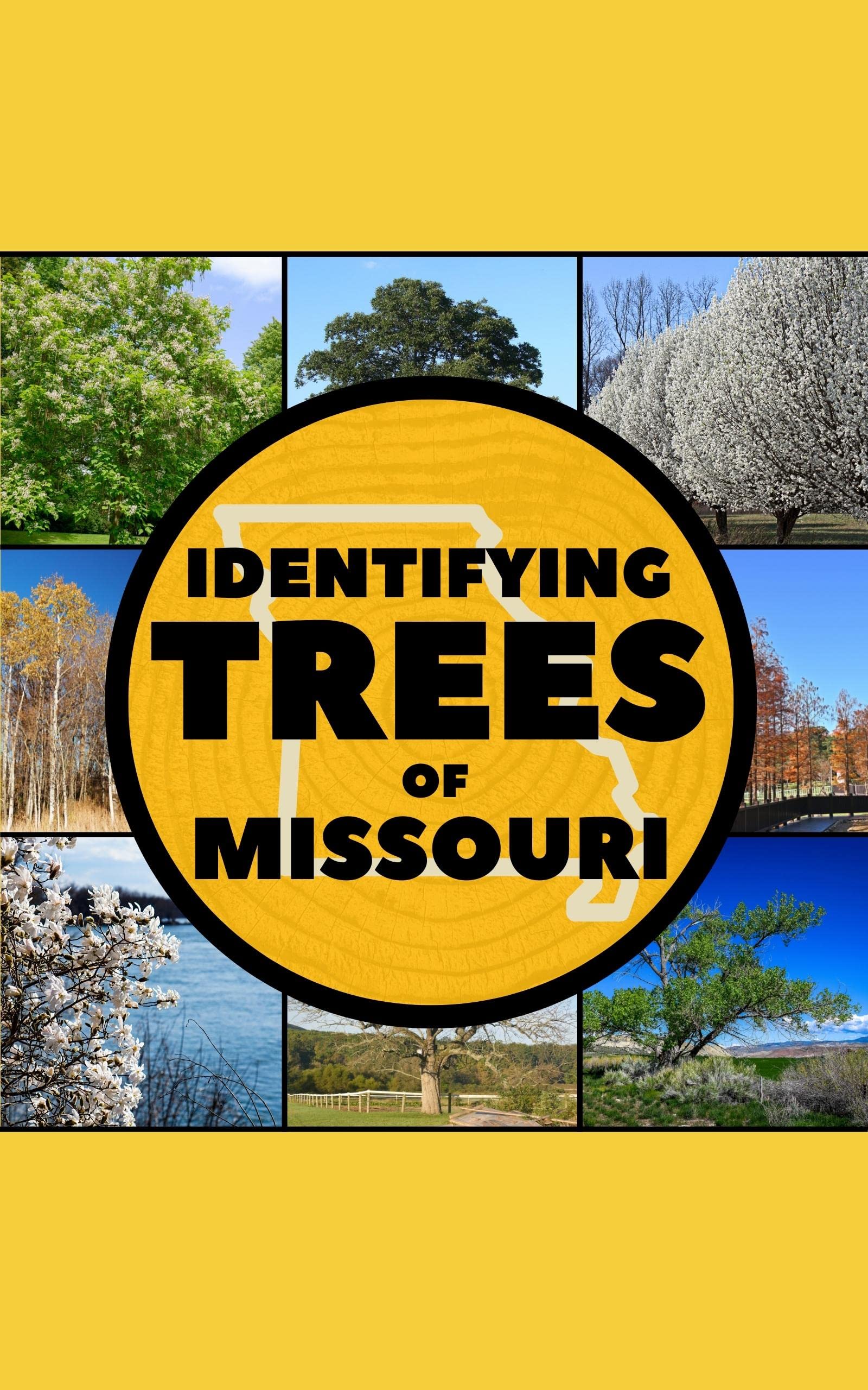 Identifying Trees of Missouri A Simple Identification Guide Book To