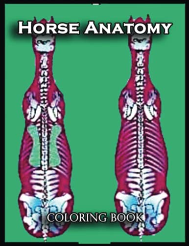 Horse Anatomy Coloring Book: Relax and Unwind with this Stress