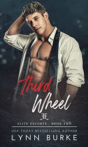 Third Wheel book cover