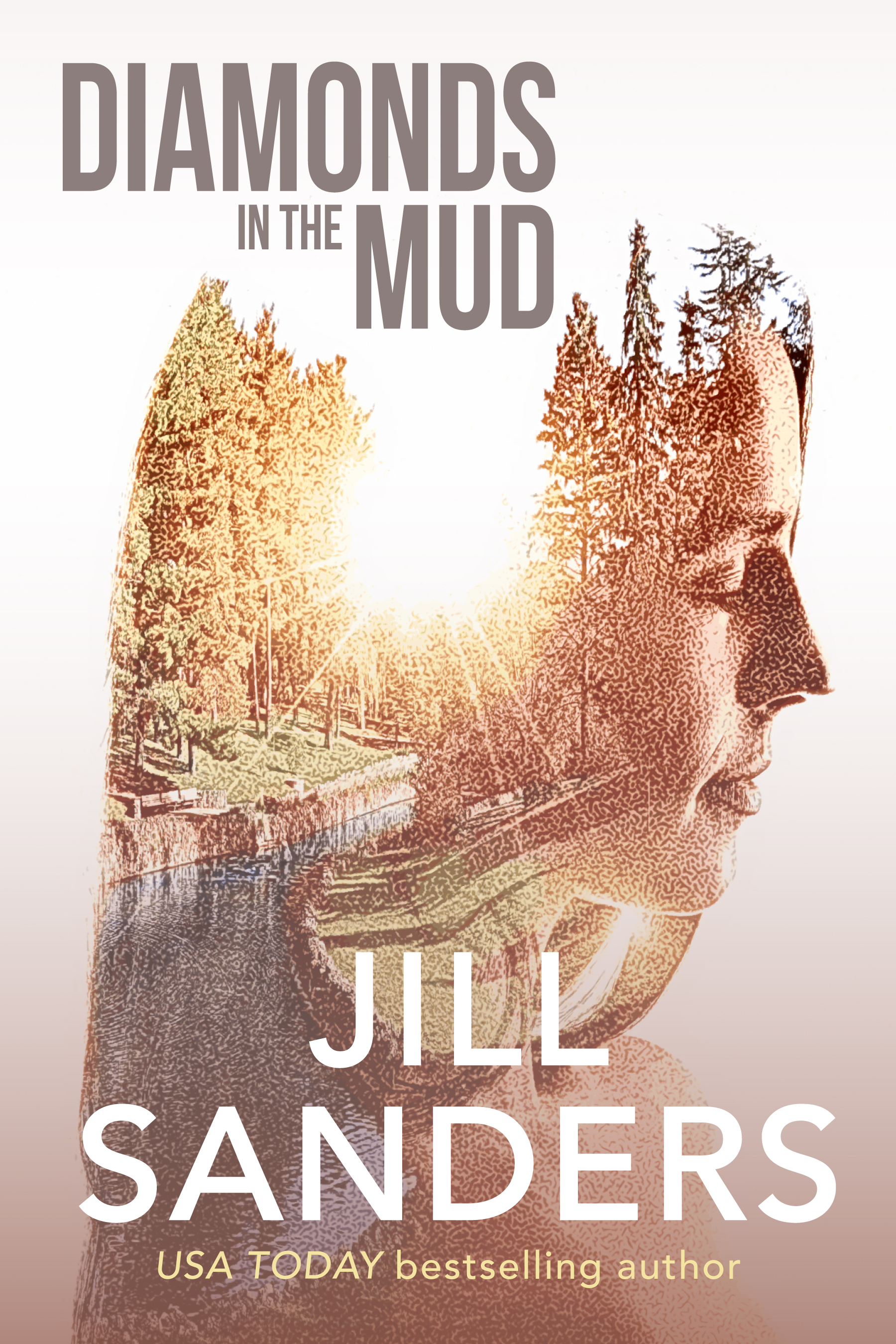 Diamonds in the Mud book cover