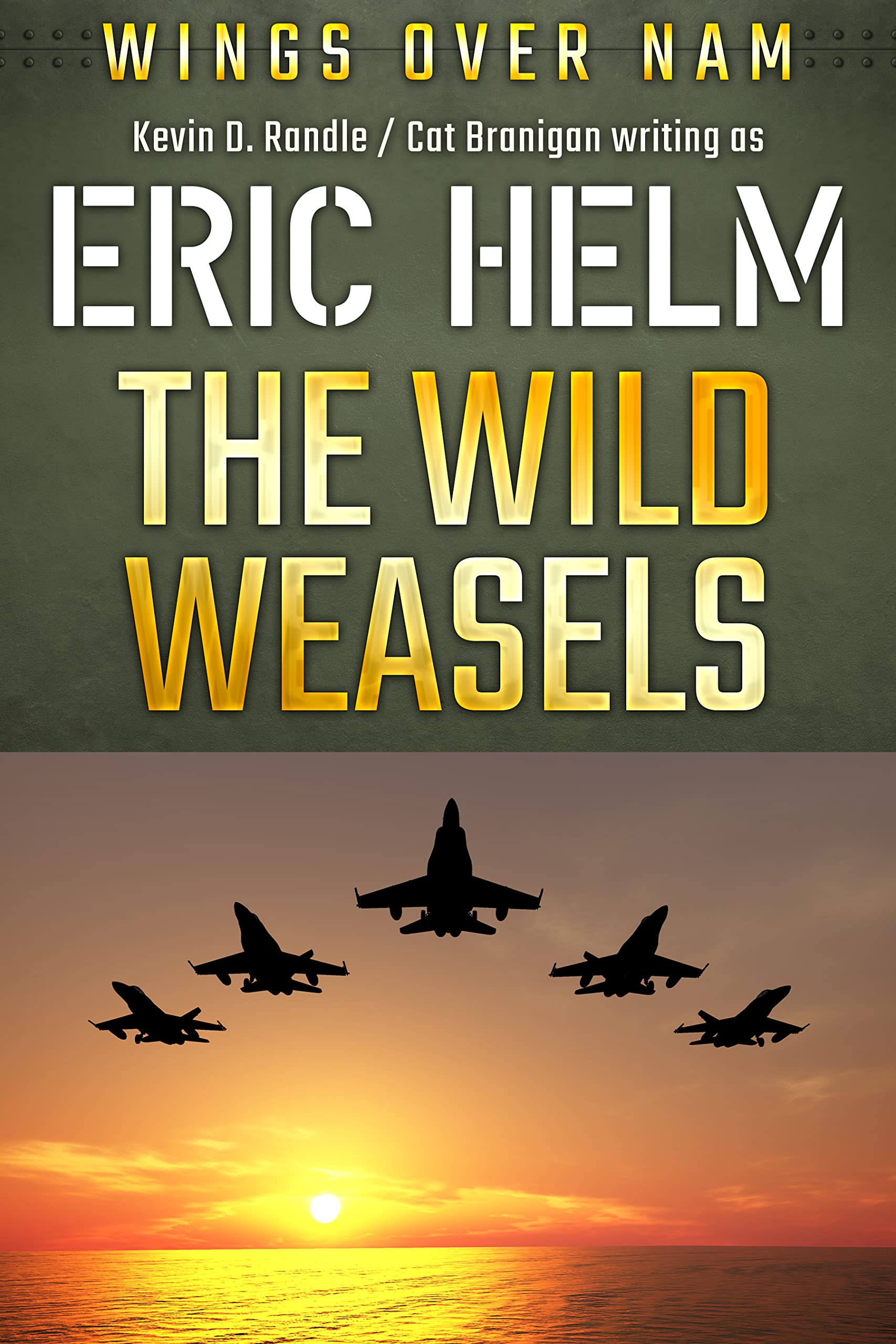 The Wild Weasels: A Wings Over Nam aviation thriller
