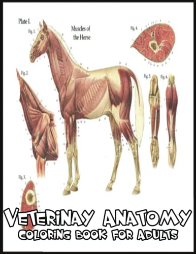 Veterinary Anatomy Coloring Book: 110 Amazing Veterinary Anatomy