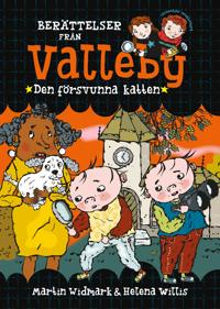 Den försvunna katten