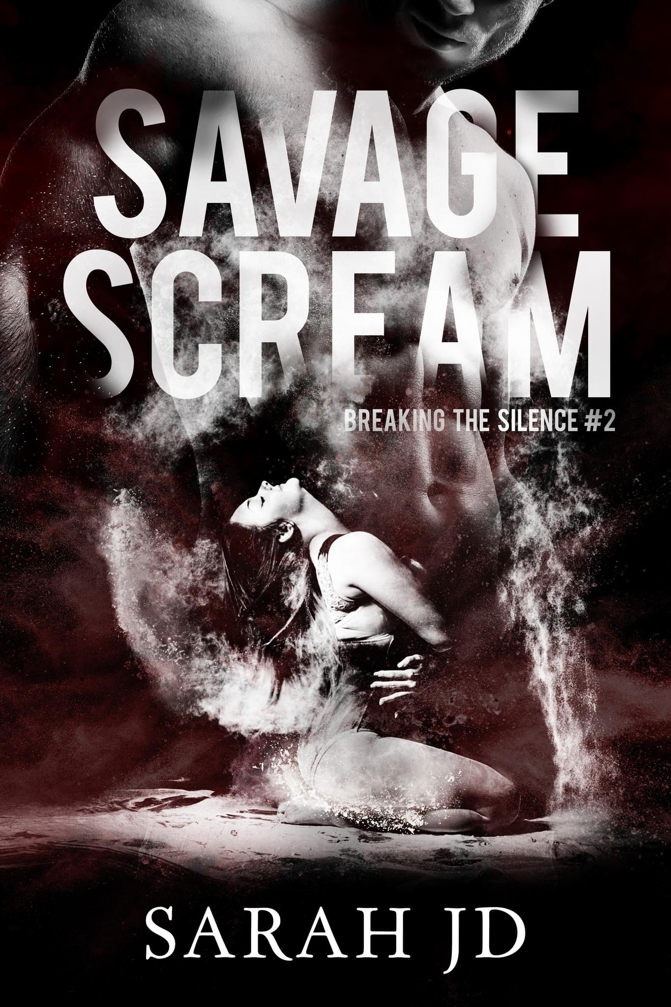 Breaking the Silence book cover 2