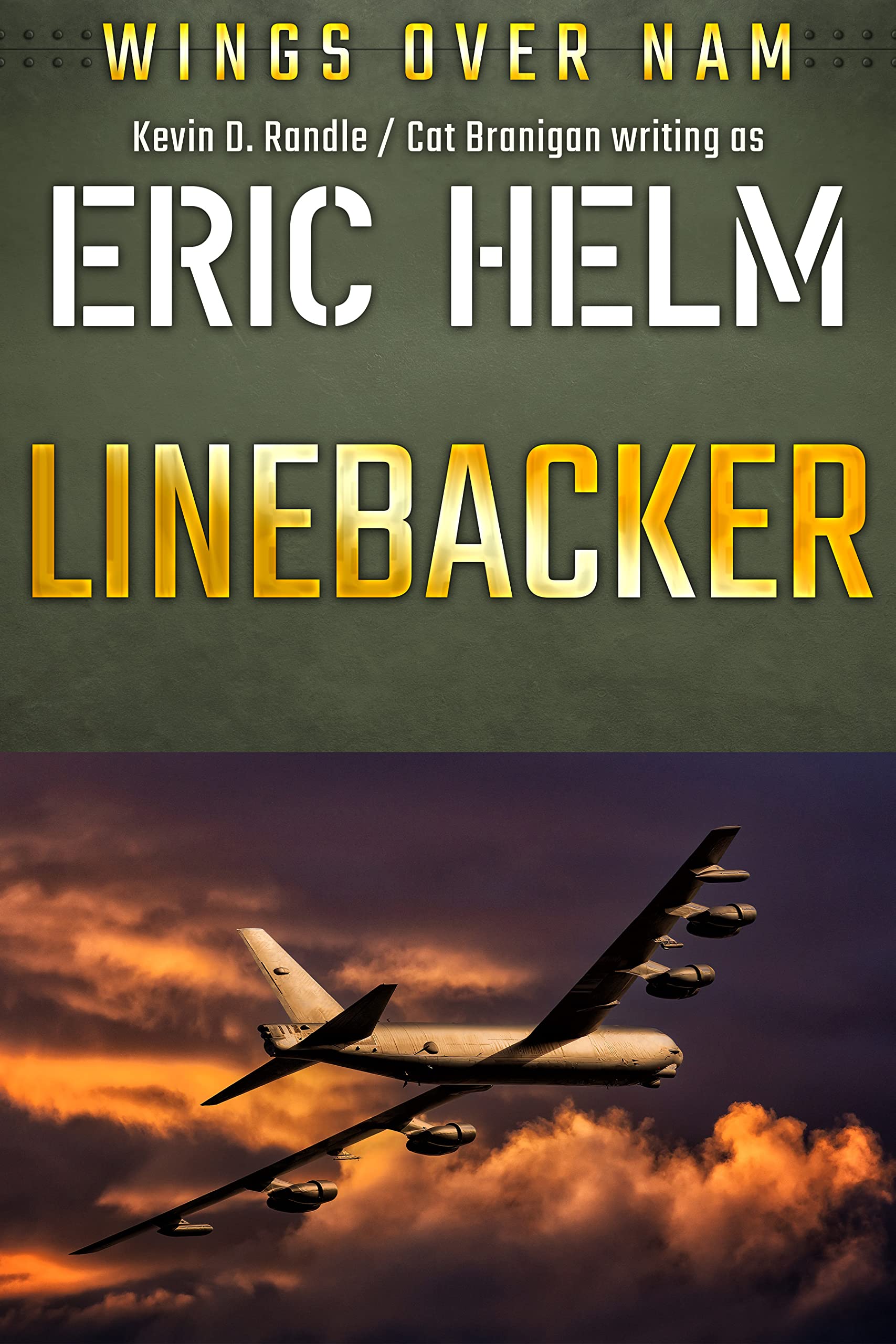 Linebacker: A Wings Over Nam aviation thriller
